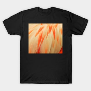 Flamingo Feathers T-Shirt